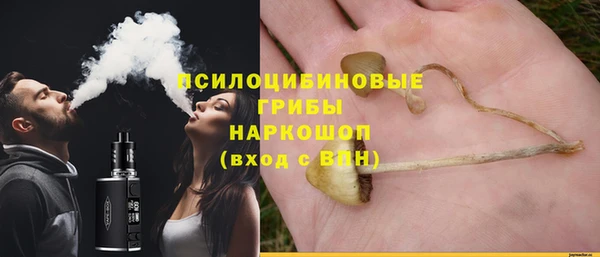 a pvp Аркадак