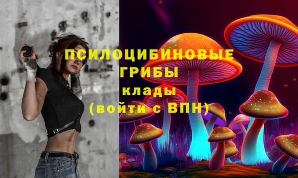 a pvp Аркадак