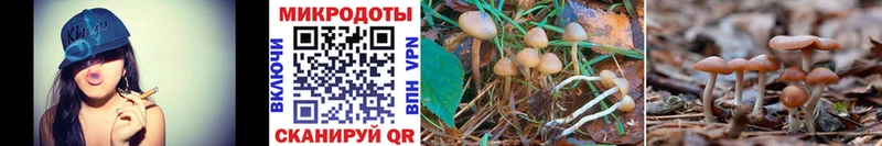 Галлюциногенные грибы Cubensis  где купить   Пустошка 